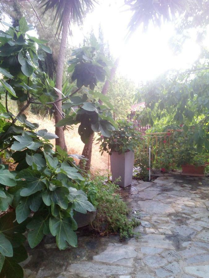 Kampi Double Storey House In The Village Nikosia Eksteriør bilde